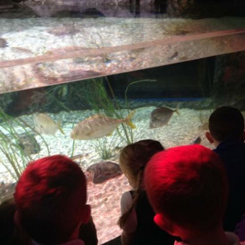 Skegness Aquarium